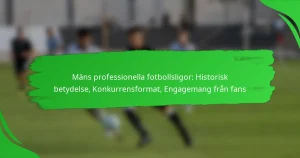 Mäns professionella fotbollsligor: Historisk betydelse, Konkurrensformat, Engagemang från fans