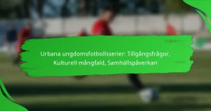 Urbana ungdomsfotbollsserier: Tillgångsfrågor, Kulturell mångfald, Samhällspåverkan