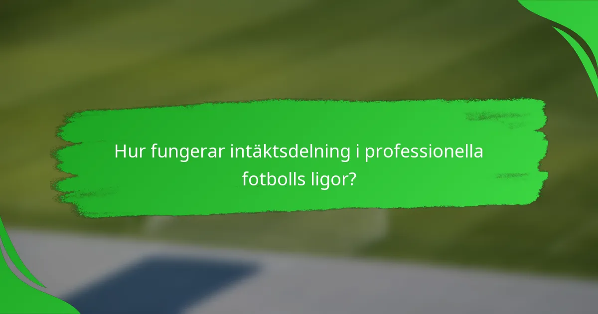 Hur fungerar intäktsdelning i professionella fotbolls ligor?