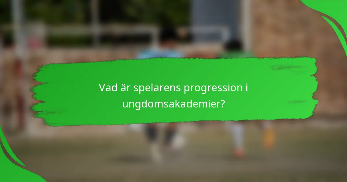 Vad är spelarens progression i ungdomsakademier?