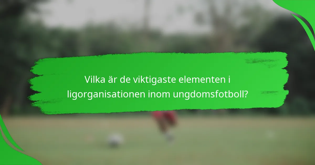 Vilka är de viktigaste elementen i ligorganisationen inom ungdomsfotboll?